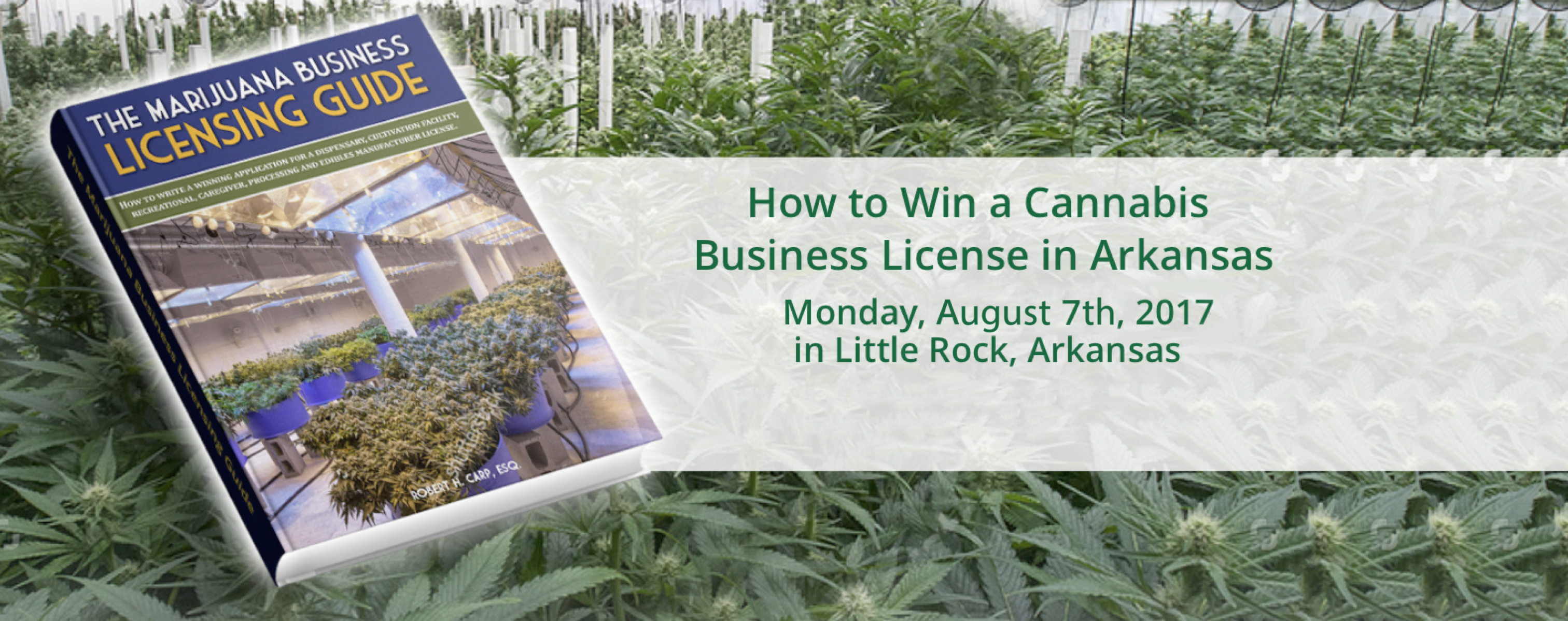 Robert Carp Seminar: How to Win a Cannabis Business License in Arkansas