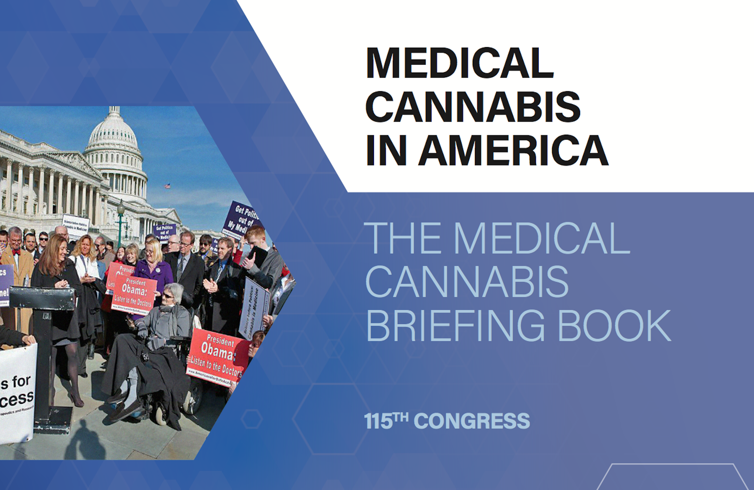 Americans for Safe Access: The Medical Cannabis Briefing Book
